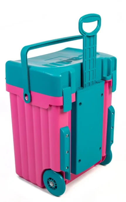 BAGS CADII SCHOOL CASE
